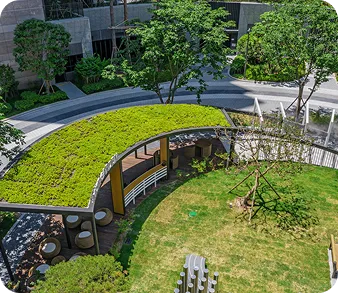 Landscaped garden